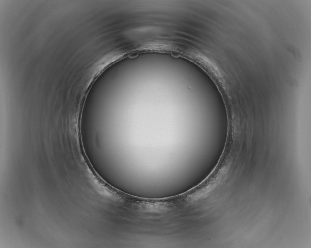 X0000111141041200906301226