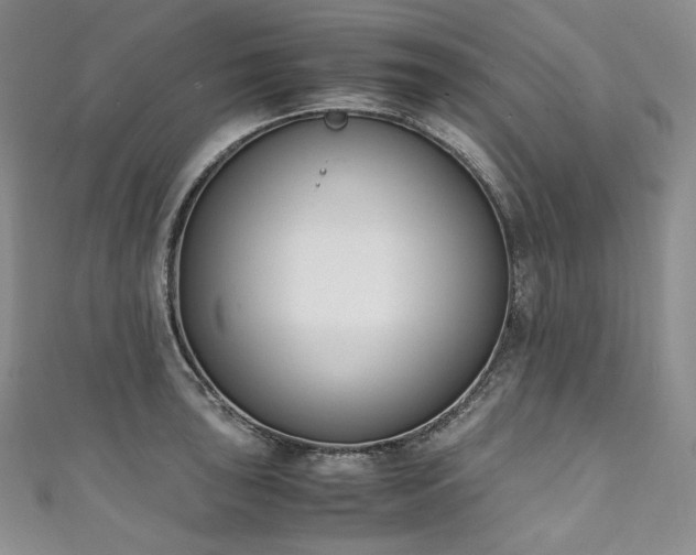 X0000111141043200906301226