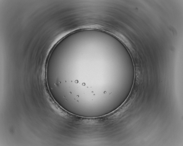 X0000111141044200906301226