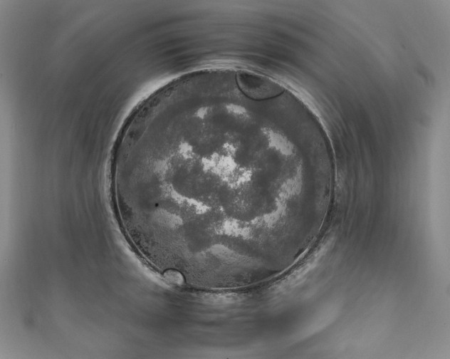X0000111141045200906301226
