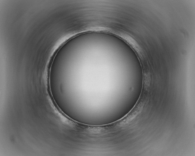 X0000111141046200906301226