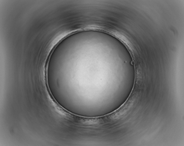 X0000111141047200906301226
