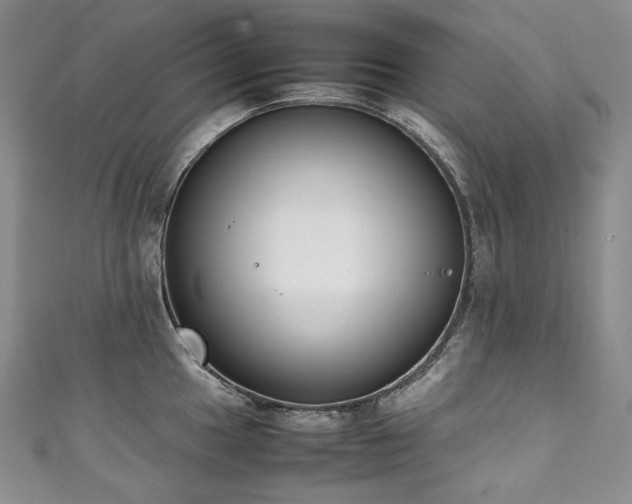 X0000111141049200906301226