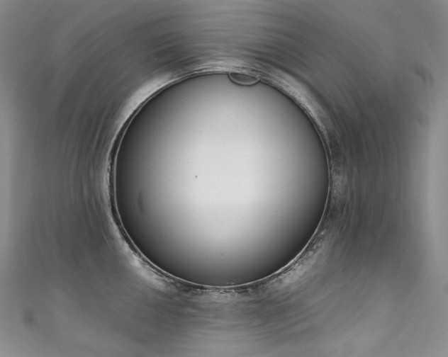 X0000111141050200906301226