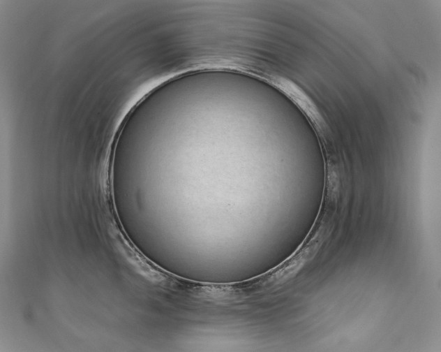X0000111141052200906301226