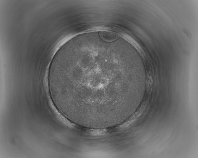 X0000111141055200906301226
