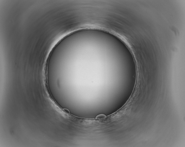 X0000111141056200906301226