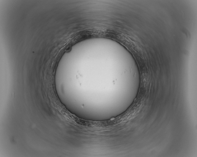 X0000111141057200906301226