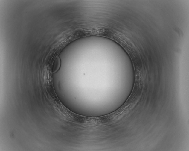 X0000111141058200906301226