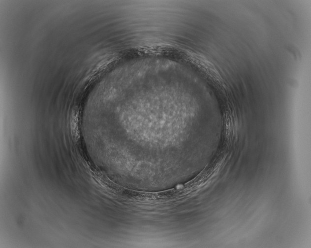 X0000111141060200906301226