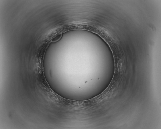 X0000111141062200906301226