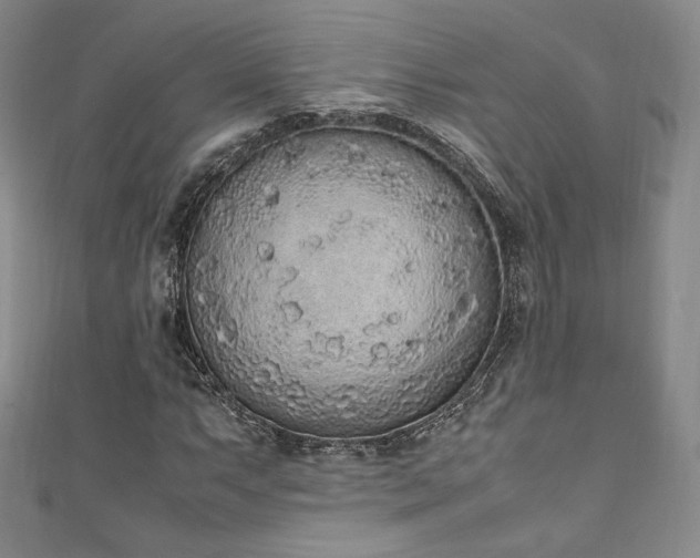 X0000111141063200906301226