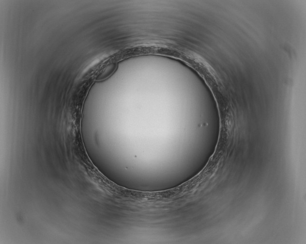 X0000111141064200906301226