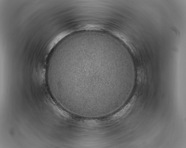 X0000111141066200906301226