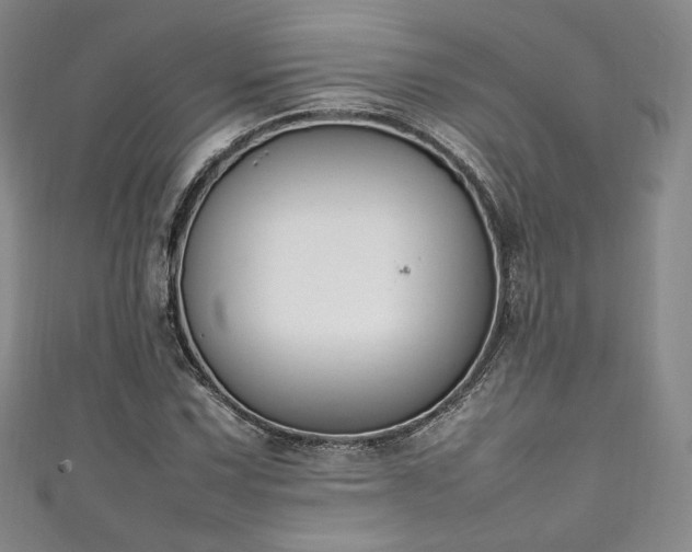 X0000111141067200906301225