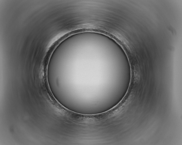 X0000111141070200906301225