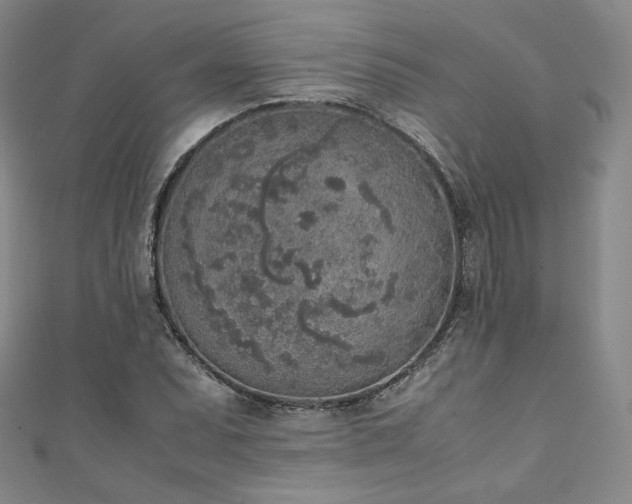 X0000111141071200906301225