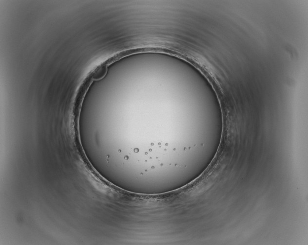 X0000111141072200906301225