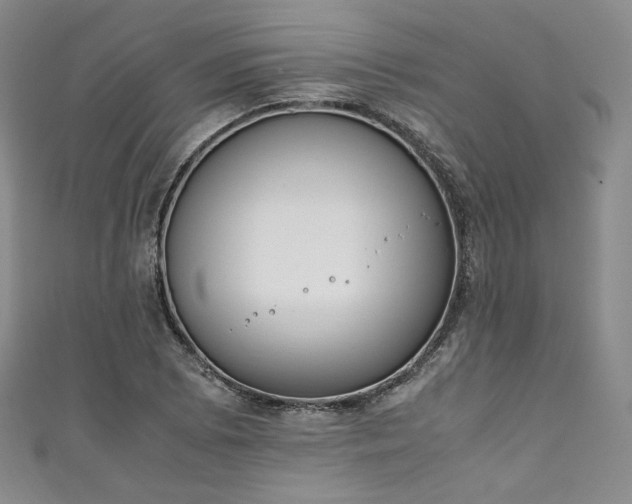 X0000111141073200906301225