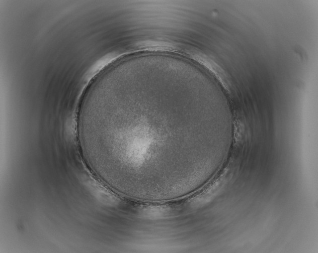 X0000111141074200906301225