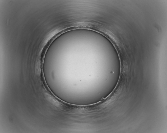 X0000111141075200906301225
