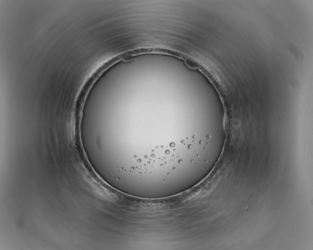 X0000111141076200906301225