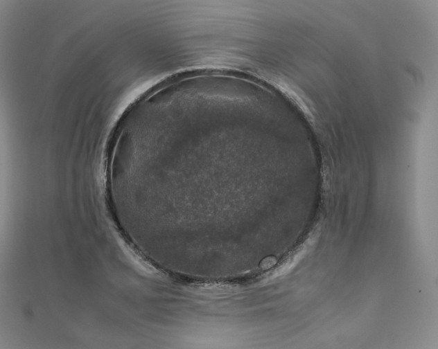 X0000111141077200906301225