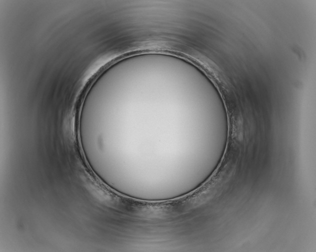 X0000111141078200906301225