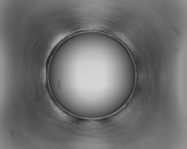 X0000111141079200906301225