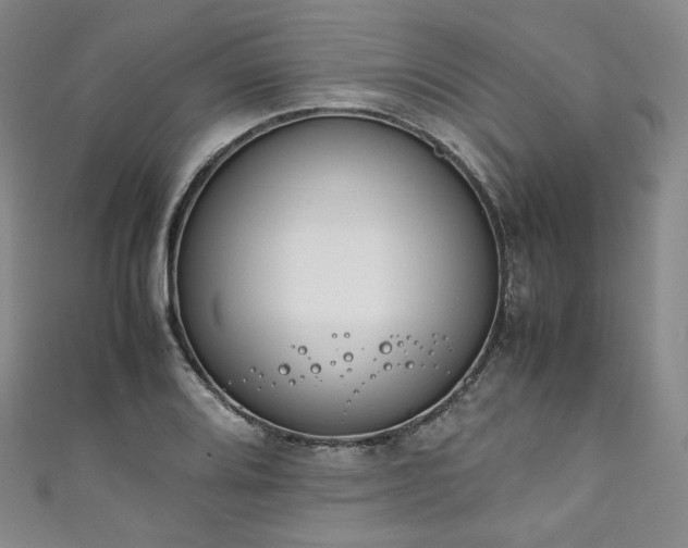 X0000111141080200906301225