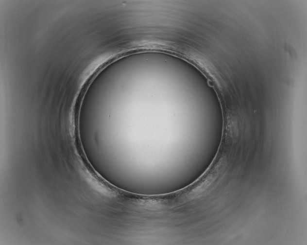 X0000111141082200906301225