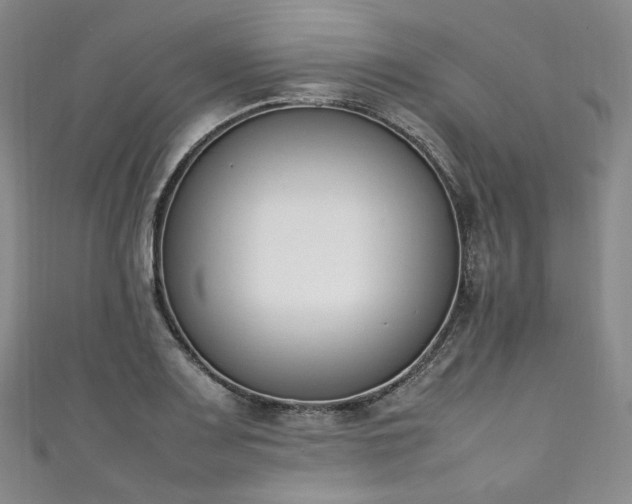 X0000111141083200906301225