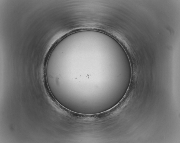 X0000111141085200906301225