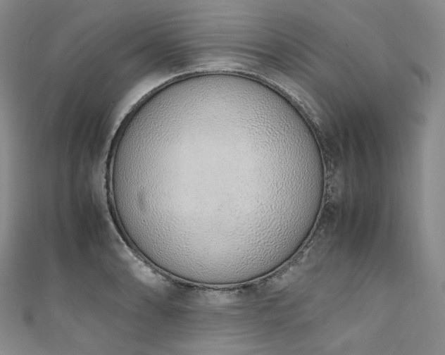 X0000111141086200906301225