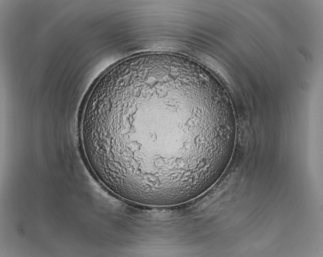 X0000111141087200906301225