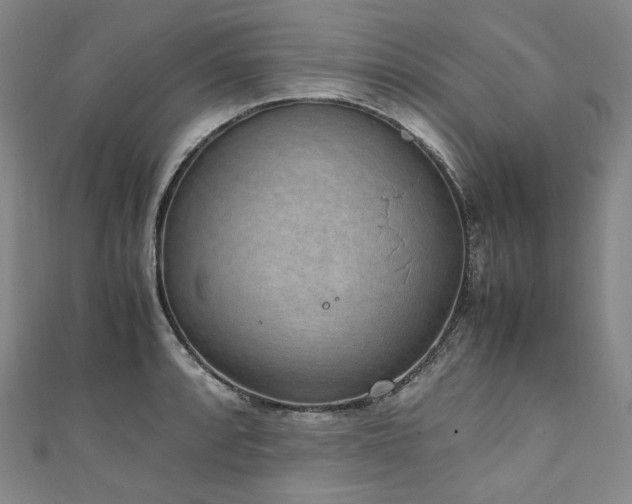 X0000111141088200906301225