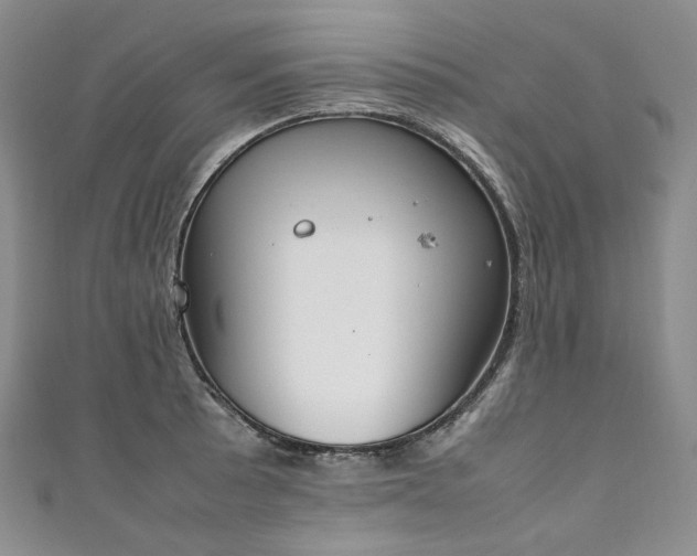 X0000111141089200906301225