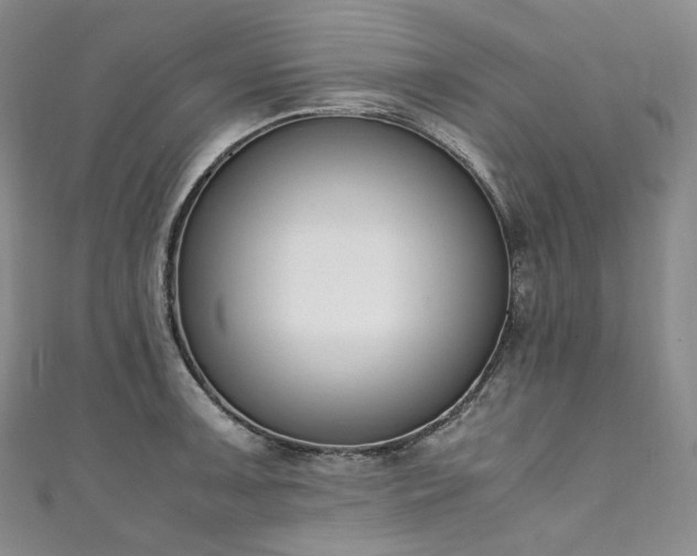 X0000111141091200906301225