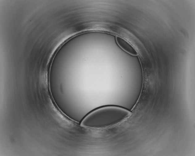 X0000111141092200906301225
