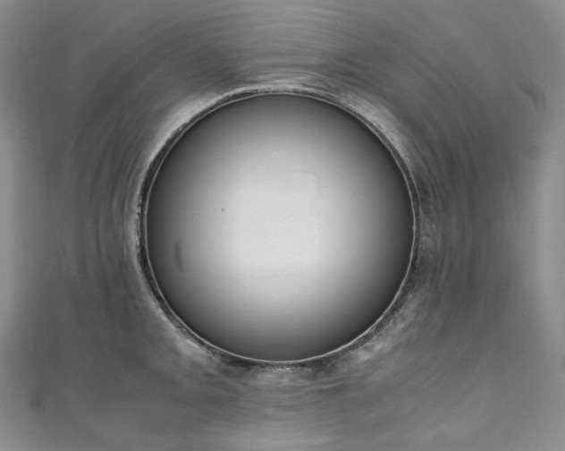 X0000111141093200906301225