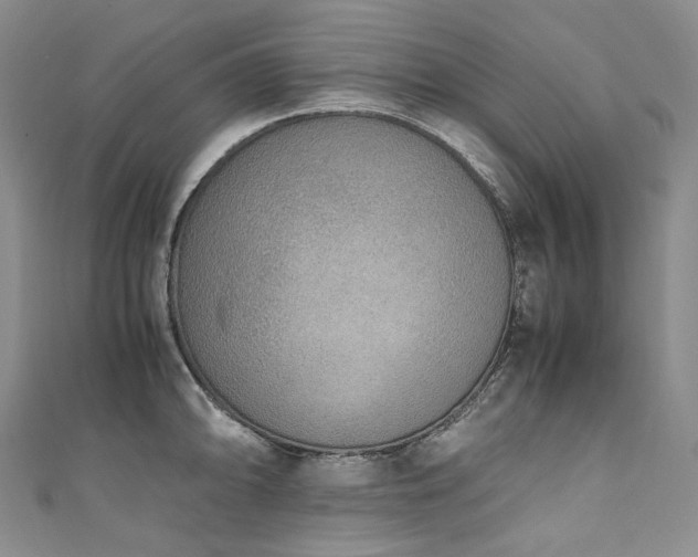 X0000111141094200906301225