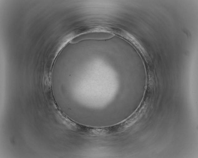 X0000111141097200906301225