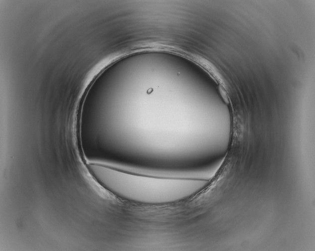X0000111141098200906301225