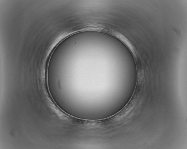 X0000111141099200906301225