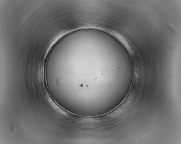 X0000111141100200906301225