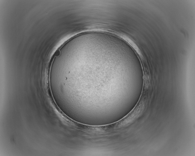 X0000111141101200906301225