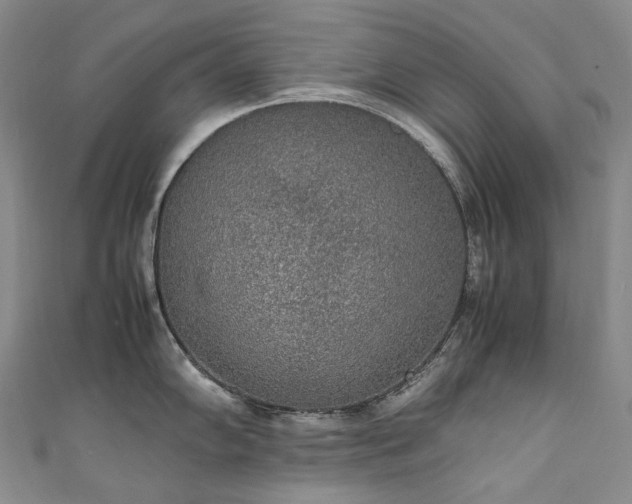 X0000111141102200906301225