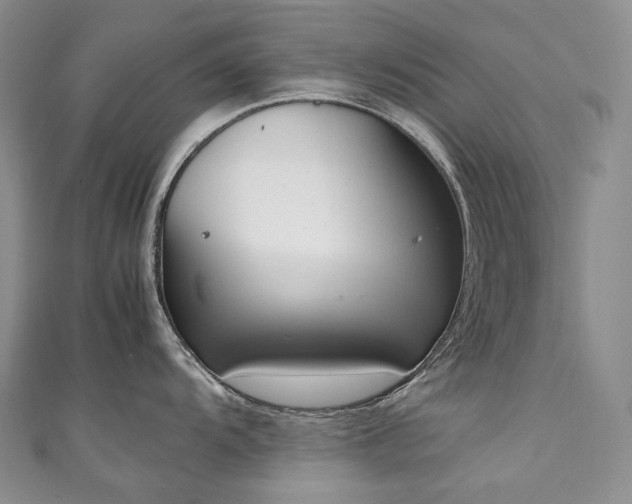 X0000111141104200906301225