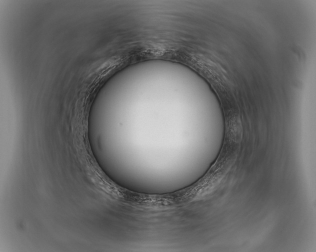 X0000111141105200906301224