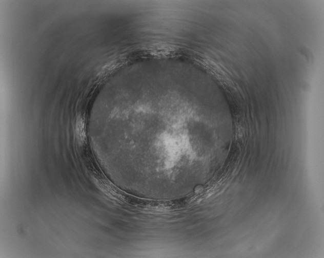 X0000111141106200906301224